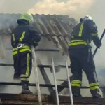 На Буковині сталася пожежа в господарській будівлі: врятовано свійських тварин