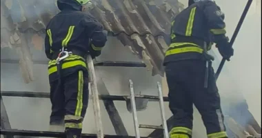 На Буковині сталася пожежа в господарській будівлі: врятовано свійських тварин