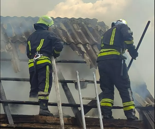 На Буковині сталася пожежа в господарській будівлі: врятовано свійських тварин