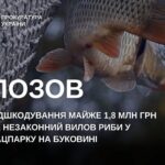 Незаконний вилов риби у нацпарку: на Буковині з браконьєрів вимагають майже 1,8 млн грн збитків