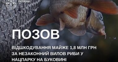 Незаконний вилов риби у нацпарку: на Буковині з браконьєрів вимагають майже 1,8 млн грн збитків