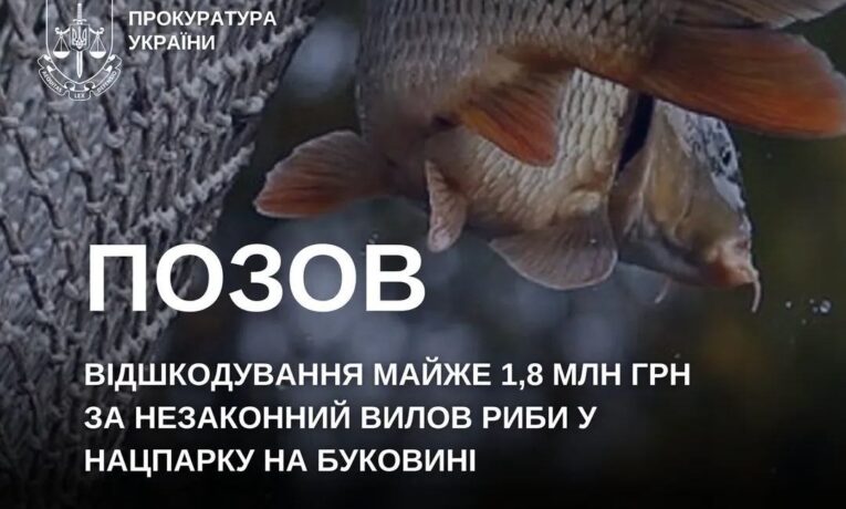 Незаконний вилов риби у нацпарку: на Буковині з браконьєрів вимагають майже 1,8 млн грн збитків