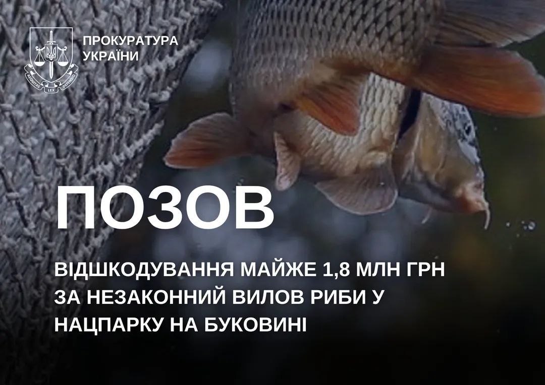 Незаконний вилов риби у нацпарку: на Буковині з браконьєрів вимагають майже 1,8 млн грн збитків