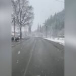 На Вижниччині у Чернівецькій області випав мокрий сніг