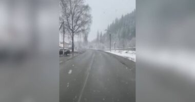 На Вижниччині у Чернівецькій області випав мокрий сніг