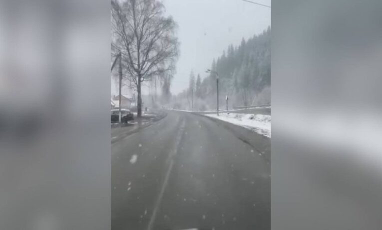 На Вижниччині у Чернівецькій області випав мокрий сніг