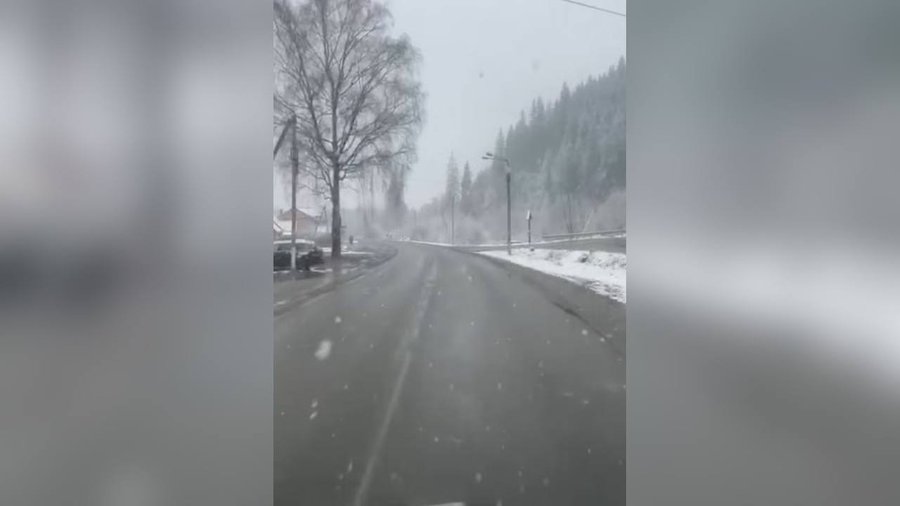 На Вижниччині у Чернівецькій області випав мокрий сніг