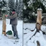 У нацпарку «Черемоський» триває підгодівля диких тварин через складні погодні умови