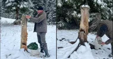 У нацпарку «Черемоський» триває підгодівля диких тварин через складні погодні умови
