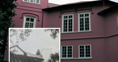 Палац де Зотте на Буковині залишився без охоронного договору: прокуратура подала до суду