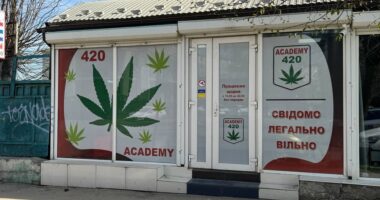 У Чернівцях провели обшуки в магазині «Academy 420»: продукцію вилучили на експертизу