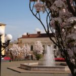 У Чернівцях на площі Філармонії та прилеглих вулицях буде односторонній рух
