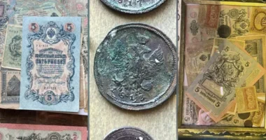 На Буковині на кордоні з Румунією виявили старовинні монети та банкноти часів Російської імперії