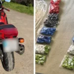 У Чернівцях затримали мотоцикліста з понад 400 згортками наркотиків