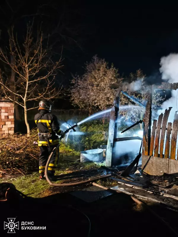 У Мамаївцях поблизу Чернівців згоріла господарська будівля