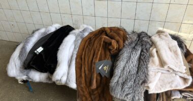 Lexus, «зелений коридор» і шуби на понад мільйон: на Буковині митники викрили порушення