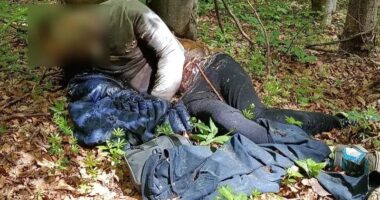На Буковині в горах виявили мертвим киянина, який, ймовірно, намагався незаконно перетнути кордон