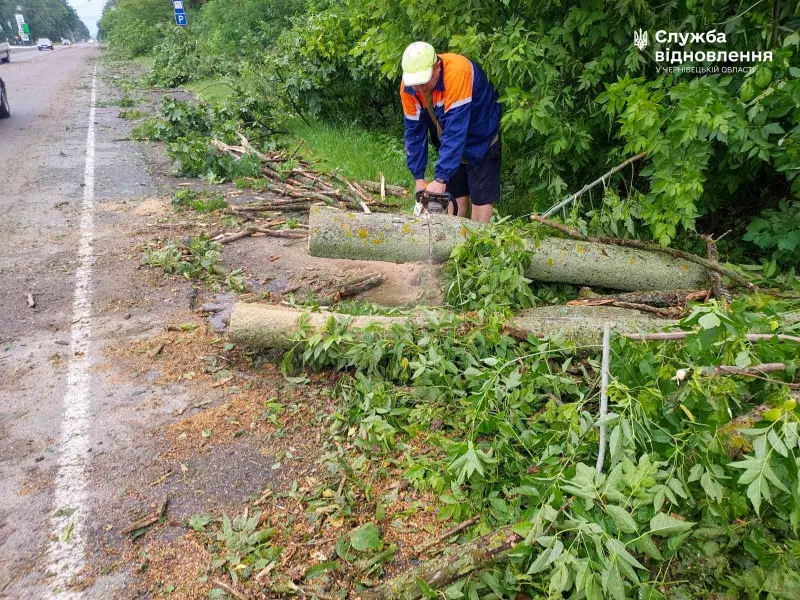 У селі Шипинці буревій повалив дерева на трасу Н-10: рух транспорту відновили