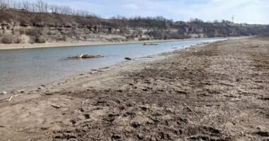 Хотин залишився без водопостачання. Місцева влада пояснила це обмілінням Дністра