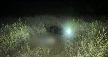 На Буковині унаслідок ДТП загинула водійка, ще троє людей травмовані