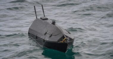 Румунія хоче, щоб українські морські дрони самознищувалися біля її кордонів
