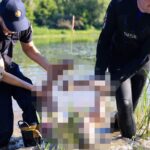 На Дністрі на Буковині загинули троє людей, тривають пошуки зниклої дитини