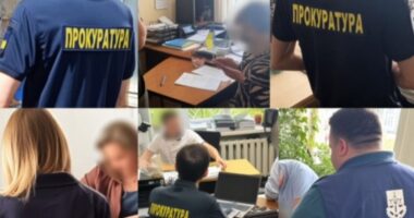Майже 3 млн грн збитків на електроенергії: у Чернівцях викрили посадовців управління освіти