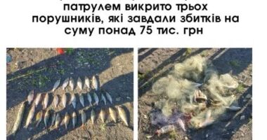 На Дністрі під час нересту викрили трьох чоловіків із незаконним виловом риби на понад 75 тисяч гривень