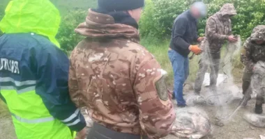 На Буковині браконьєри завдали збитків на понад 215 тисяч гривень під час нересту