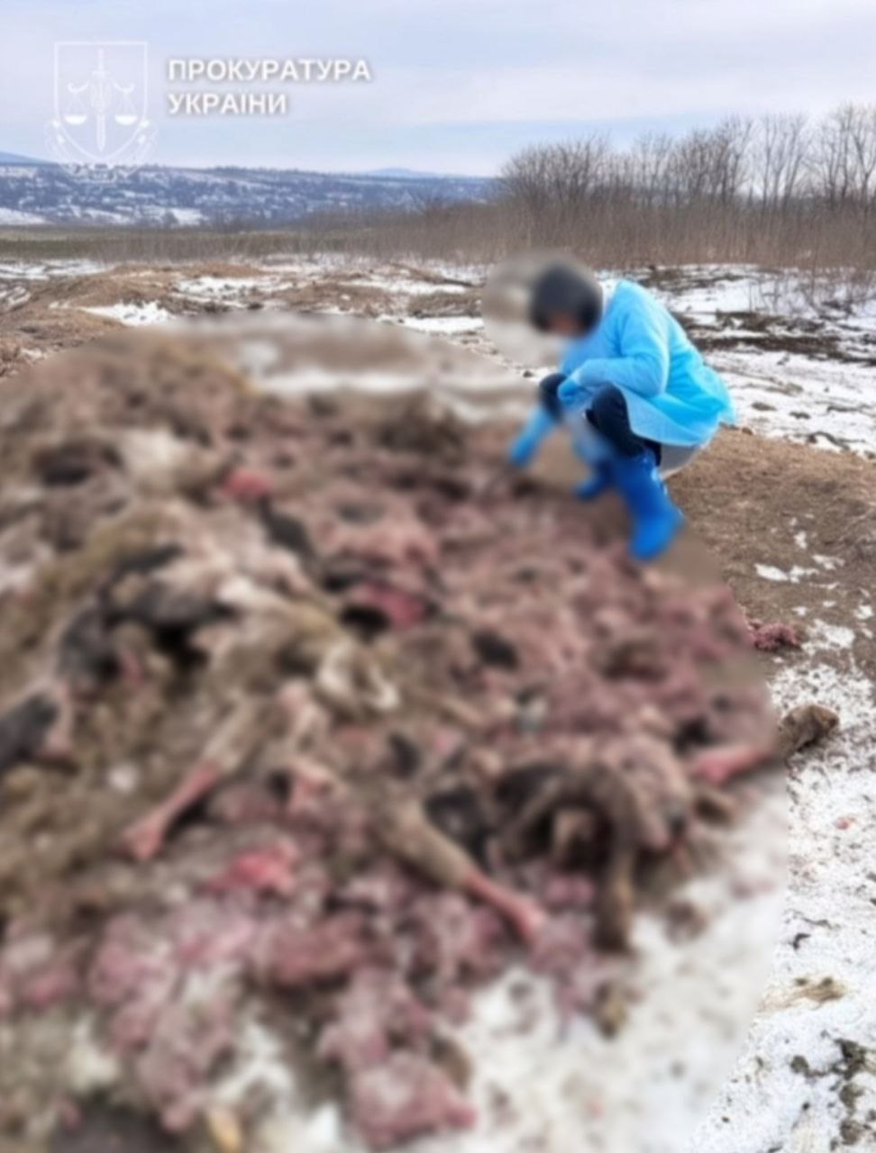 На Буковині керівнику м’ясопереробного підприємства повідомили про підозру через забруднення земель на майже 1 млн грн