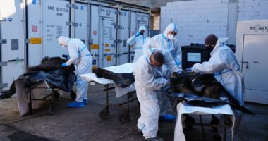 Серед тіл військових, які повернули з РФ й привезли до Чернівців на опізнання, були буковинці