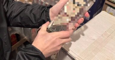 На Буковині судитимуть власника магазину за збут понад 3,2 тис. пляшок контрафактної горілки