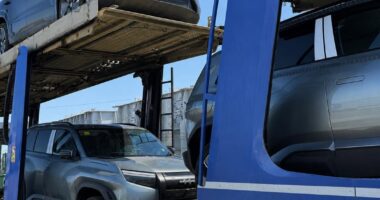 На Буковині судитимуть чоловіка за спробу ввезти електромобілі за підробленими документами