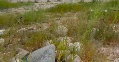 На Буковині перепоховали останки із затопленого кладовища, які виявили після обміління Дністра