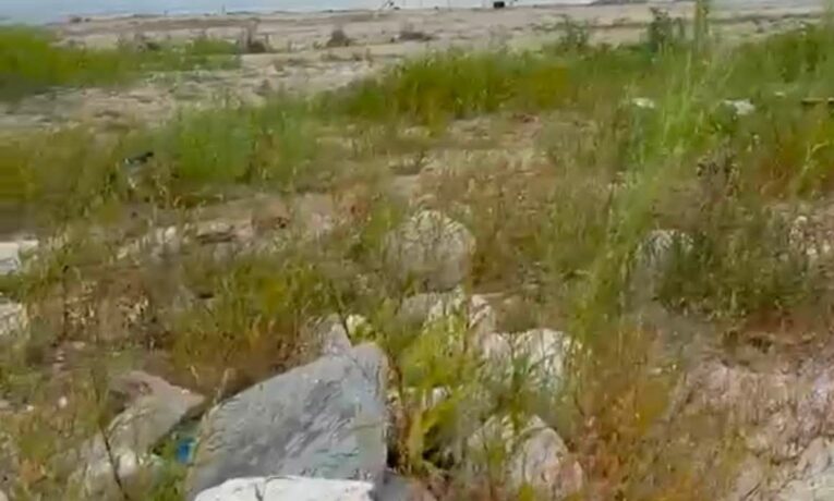 На Буковині перепоховали останки із затопленого кладовища, які виявили після обміління Дністра