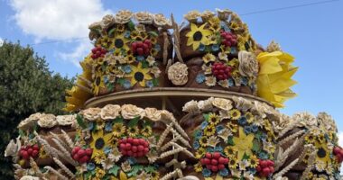 У Чернівцях відновили Петрівський ярмарок: встановили рекорд України з найбільшого весільного калача