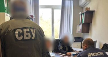На Буковині судитимуть ексмайстра лісу за незаконну вирубку дерев у нацпарку на понад 5 млн грн