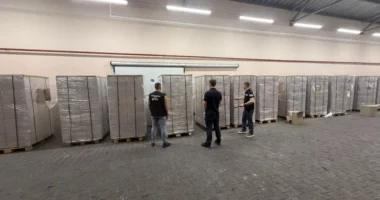На «Мамализі» буковинські прикордонники викрили спробу перевезення 360 тисяч пачок сигарет під виглядом полуниці
