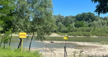 У Чернівцях не рекомендують купатися на міському пляжі через якість води