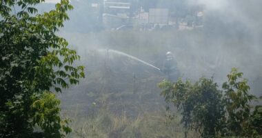 За добу на Буковині сталося чотири пожежі: горіли сухостій, сміття та господарська будівля