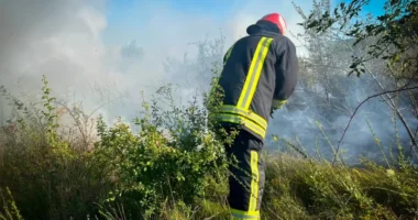На Буковині через займання сухої трави ледь не згоріла господарська будівля
