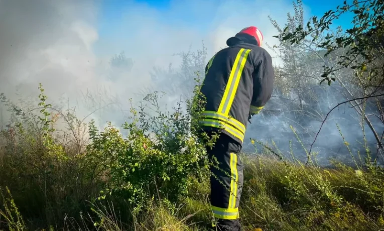 На Буковині через займання сухої трави ледь не згоріла господарська будівля