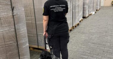 На Буковині до суду передали справу про контрабанду 360 тисяч пачок сигарет