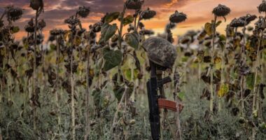 29 серпня в Україні вшановують пам’ять загиблих захисників і захисниць