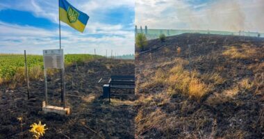 На Буковині втретє згоріли дуби, висаджені на честь загиблого військового та полеглих захисників