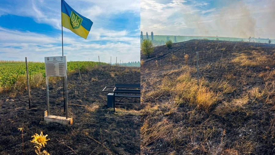 На Буковині втретє згоріли дуби, висаджені на честь загиблого військового та полеглих захисників