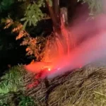 На Буковині блискавка спричинила пожежу: за добу рятувальники ліквідували кілька займань сухої трави