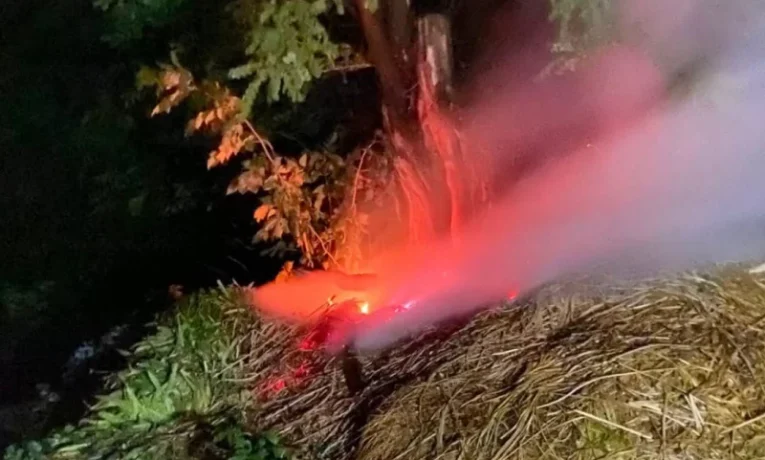 На Буковині блискавка спричинила пожежу: за добу рятувальники ліквідували кілька займань сухої трави