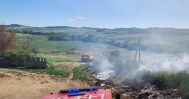 На Буковині за добу рятувальники ліквідували дев’ять пожеж на відкритих територіях