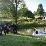 На Буковині у ставку потонули двоє чоловіків, 8-річну дівчинку вдалося врятувати